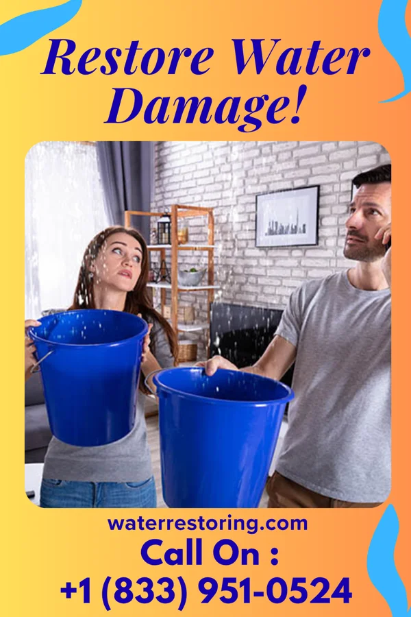 water restoration Best Recovery Contractors Bayshore Gardens