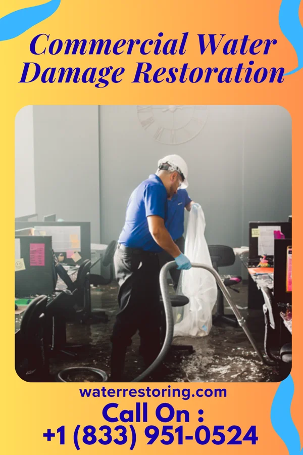 Commercial Water Damage Restoration in Bayshore Gardens, FL
